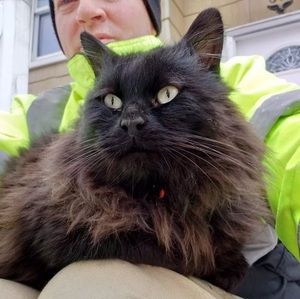 Meet your Posher, Douglas